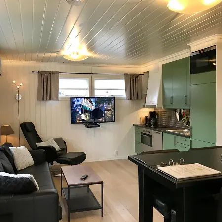 Undrumsdal Apartment דירה *