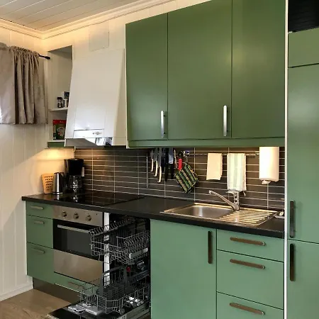 Leilighet Undrumsdal Apartment Undrumsdal